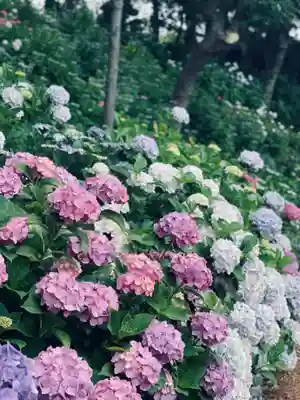 二本松寺(茨城県)