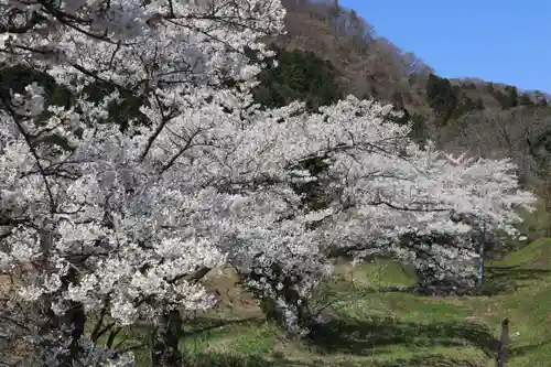 高司神社〜むすびの神の鎮まる社〜の景色