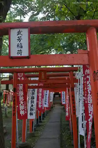 武芳稲荷神社の鳥居
