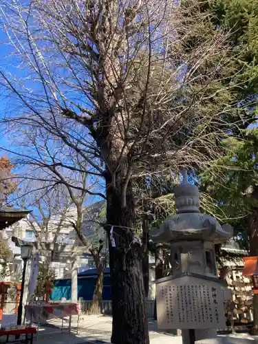 草加神社(埼玉県)