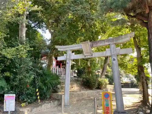 常磐神社の鳥居