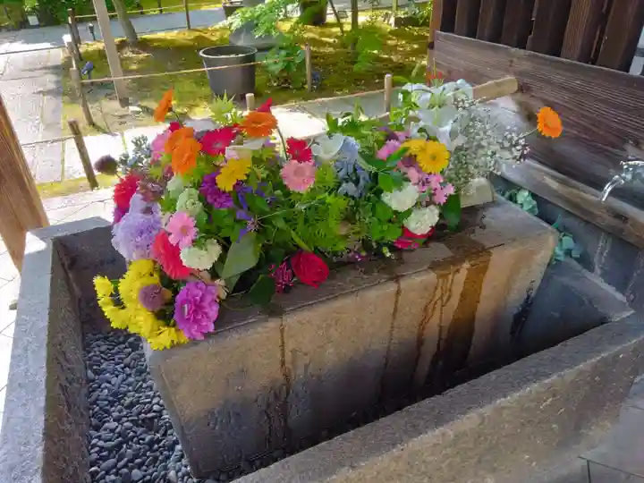 勝林寺(京都府)