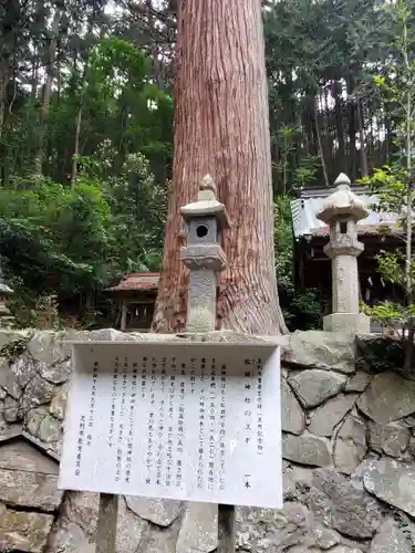 松田神社の自然