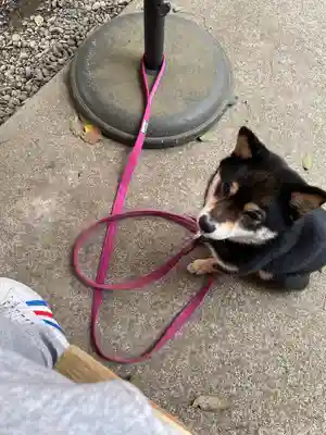 上目黒氷川神社(東京都)