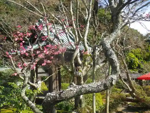 海蔵寺の庭園