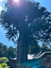 北口本宮冨士浅間神社(山梨県)