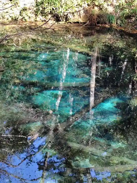 中標津神社(北海道)