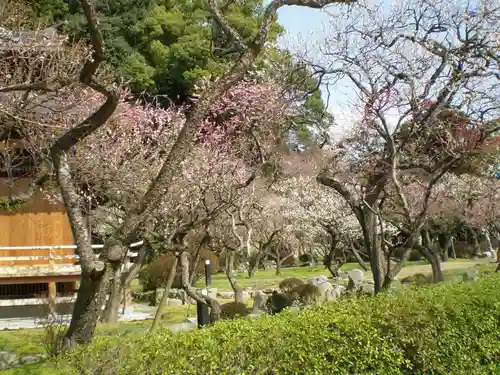 太宰府天満宮の庭園
