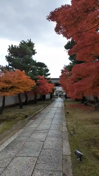 妙顯寺(妙顕寺)(京都府)