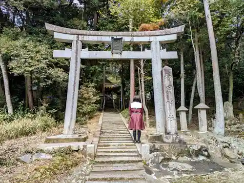 和田神社の鳥居