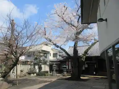 観明寺(東京都)