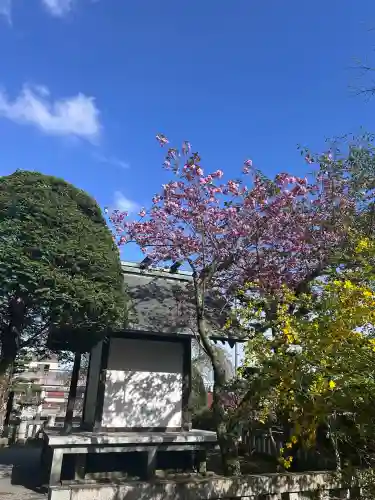 須走護國神社の{uncategorized: "未分類", other: "その他", undefined: "問題あり", building: "その他建物", grave: "お墓", sacred_gate: "鳥居", guardian: "狛犬", statue: "像", buddha: "仏像", history: "歴史", nature: "自然", garden: "庭園", animal: "動物", pagoda: "塔", temizu: "手水舎", mountain_gate: "山門・神門", sanctuary: "本殿・本堂", subordinate: "末社・摂社", art: "芸術", scenery: "景色", jizo: "地蔵", ema: "絵馬", goshuin: "御朱印", omikuji: "おみくじ", items: "授与品その他", amulet: "お守り", goshuincho: "御朱印帳", eats: "食事", festival: "お祭り", votive_dance: "神楽", shichigosan: "七五三参", wedding: "結婚式", experience: "体験その他", initially: "初詣", around: "周辺", anti_infection: "感染症対策"}