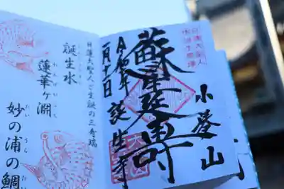 誕生寺の御朱印