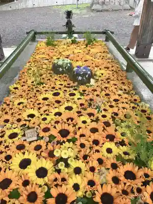 住吉神社の手水舎