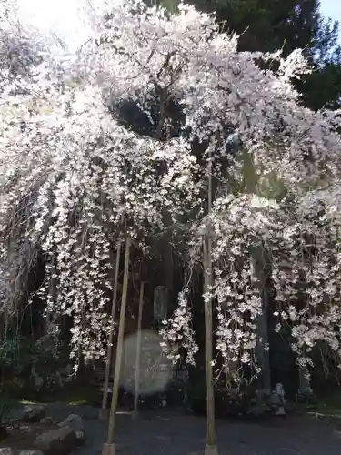 朝日之祖師堂の自然