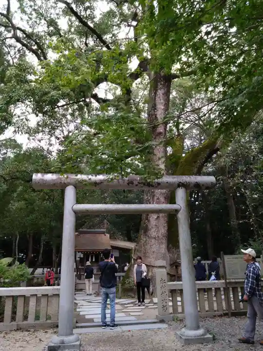 伊弉諾神宮(兵庫県)