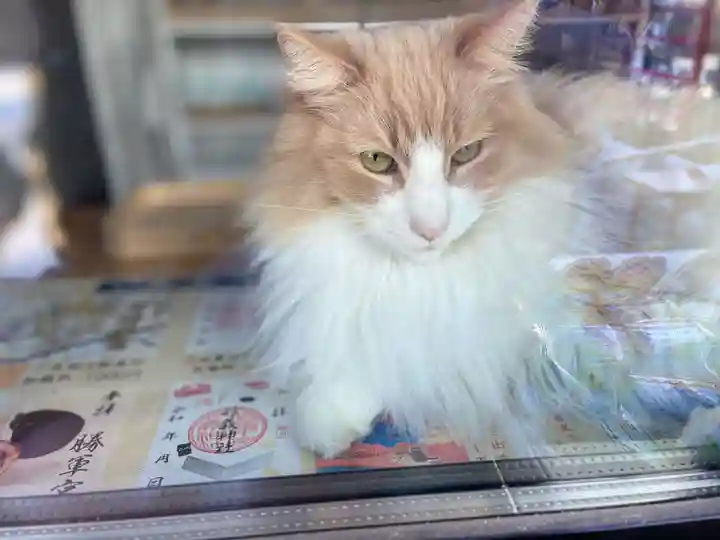 駒込妙義神社(東京都)