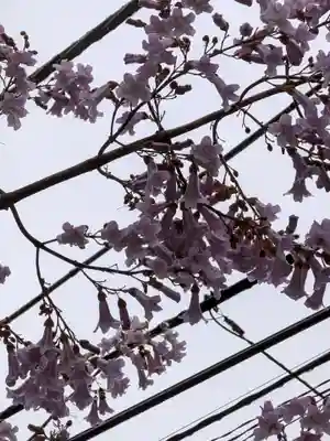 四谷於岩稲荷田宮神社(東京都)