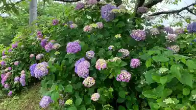 普門寺(岡山県)