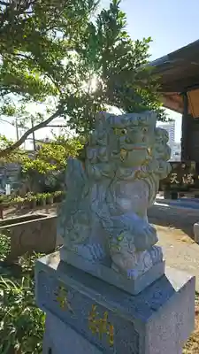 井野天満神社の狛犬