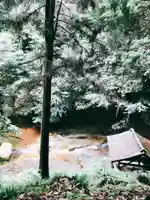 龍鎮神社の自然