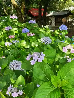 清洲山王宮 日吉神社の庭園