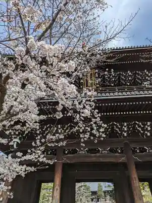 くろ谷 金戒光明寺(京都府)