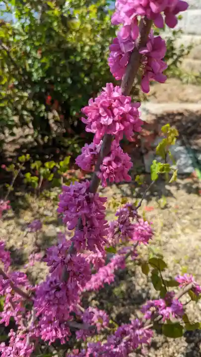 玉田神社(京都府)