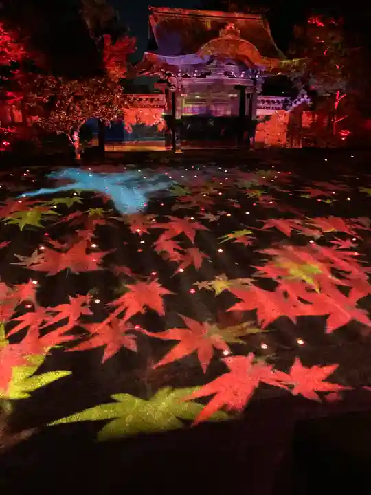 高台寺(高台寿聖禅寺・高臺寺)(京都府)