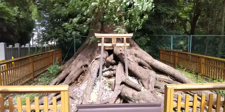 和泉國一之宮 大鳥大社(大阪府)