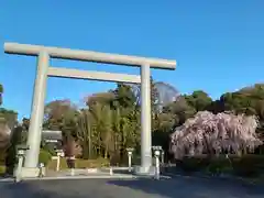 櫻木神社の鳥居