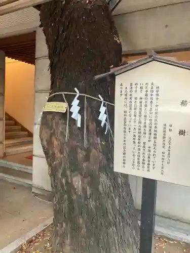 乃木神社(東京都)