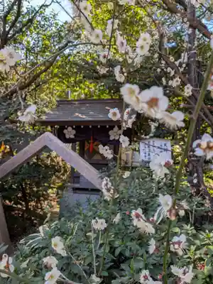 阿佐ヶ谷神明宮(東京都)