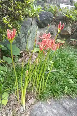 結神社(岐阜県)