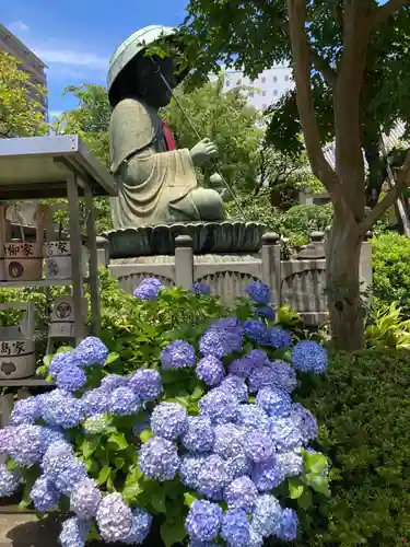 霊巌寺(東京都)