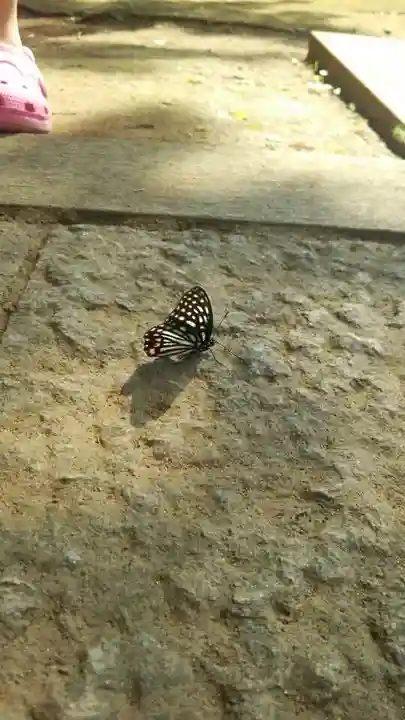 結縁寺(千葉県)