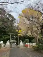 前鳥神社(神奈川県)