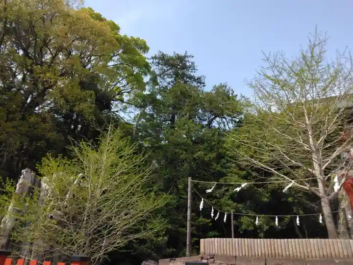 鶴岡八幡宮の自然