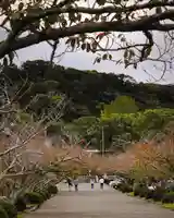 安房神社(千葉県)
