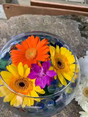 彌都加伎神社の手水舎