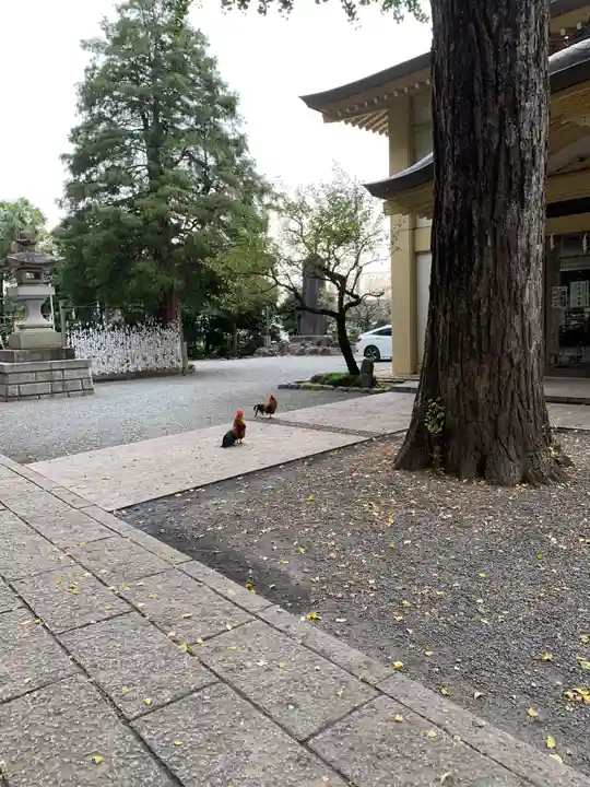 谷保天満宮のその他建物