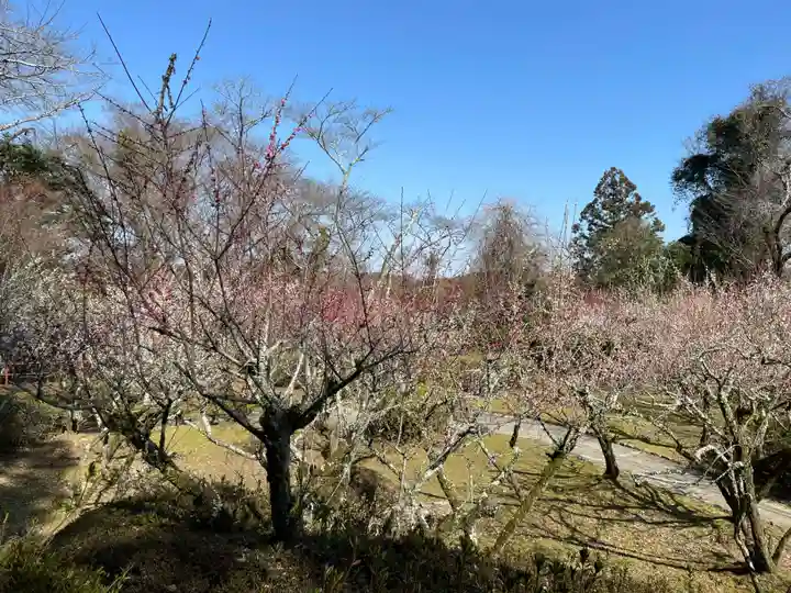 石山寺(滋賀県)