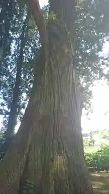 七崎神社(青森県)