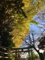 諏訪神社(神奈川県)