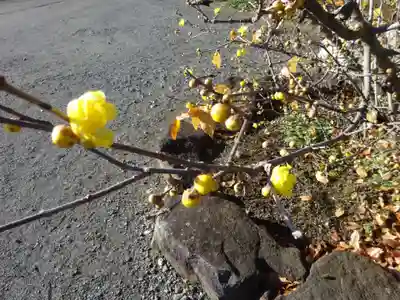 横浜　西方寺(神奈川県)