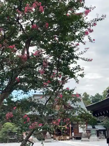 白鷺神社の自然