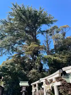 薭田神社の{uncategorized: "未分類", other: "その他", undefined: "問題あり", building: "その他建物", grave: "お墓", sacred_gate: "鳥居", guardian: "狛犬", statue: "像", buddha: "仏像", history: "歴史", nature: "自然", garden: "庭園", animal: "動物", pagoda: "塔", temizu: "手水舎", mountain_gate: "山門・神門", sanctuary: "本殿・本堂", subordinate: "末社・摂社", art: "芸術", scenery: "景色", jizo: "地蔵", ema: "絵馬", goshuin: "御朱印", omikuji: "おみくじ", items: "授与品その他", amulet: "お守り", goshuincho: "御朱印帳", eats: "食事", festival: "お祭り", votive_dance: "神楽", shichigosan: "七五三参", wedding: "結婚式", experience: "体験その他", initially: "初詣", around: "周辺", anti_infection: "感染症対策"}