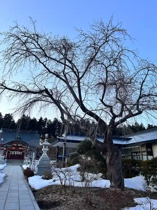 北海道東照宮(北海道)