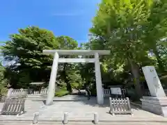 阿佐ヶ谷神明宮の鳥居