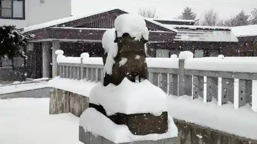 美瑛神社の狛犬